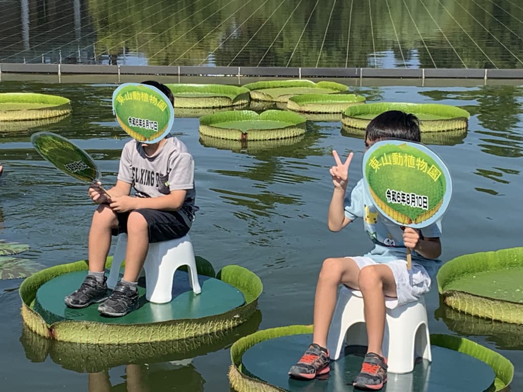 uchiwa.jpg
